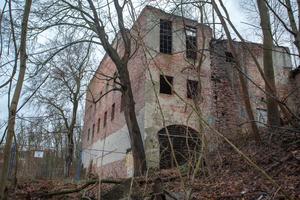 Ruine und Gestrüpp