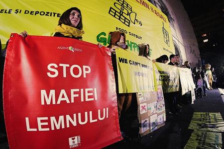 Forest activists hold banners