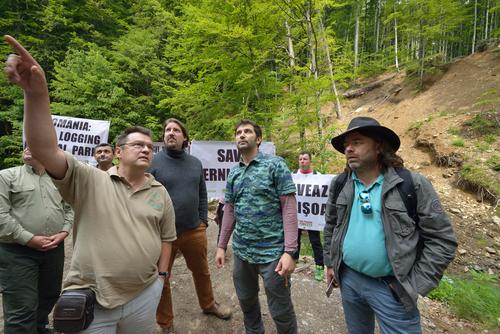 Dragos Mihai, Director of Nature Conservation of Romsilva; Thomas Waitz, MEP; Gabriel Paun, Agent Green; Mihai Gotiu, Romanian Senator in the forest