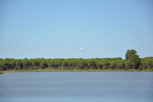 The Karavasta Lagoon