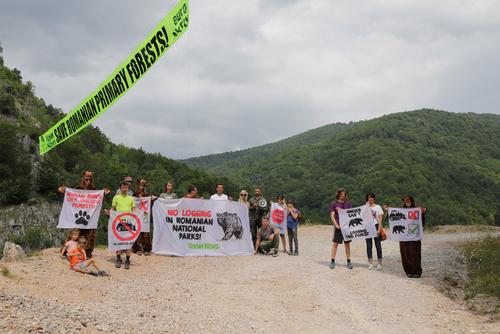 Aktivisten von Robin Wood und Agent Green  im rumänischen Domogled Valea Cernei Nationalpark
