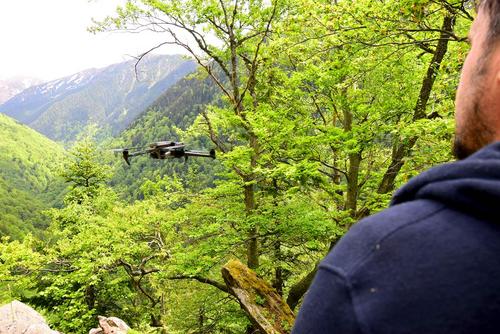 Eine Drohne fliegt über den Urwald in Rumänien.
