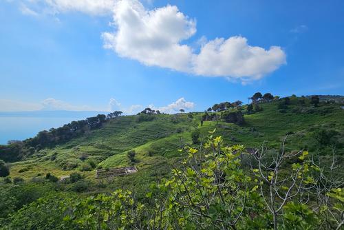 View over the island of Sazan. You can see how nature is reclaiming former buildings and terraces.