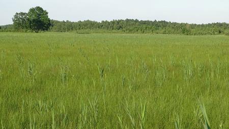 threaten landscape in Poland