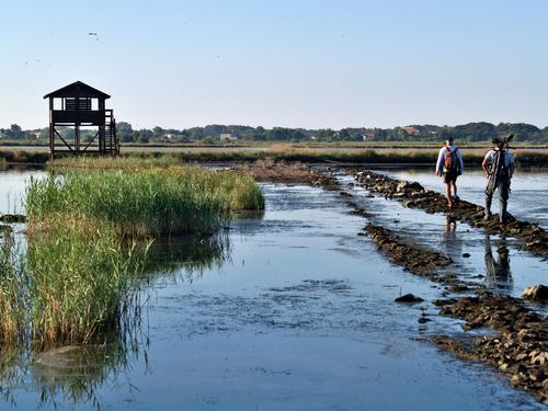 Zwei Menschen laufen über einen Damm in der Saline Ulcinj zu einem Vogelbeobachtungsturm