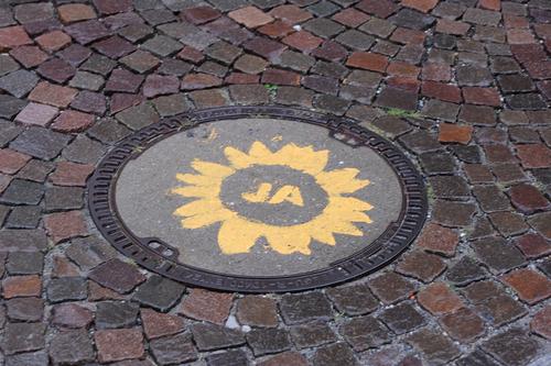 Pestizide? Nein Danke! Ökolandbau? Ja Bitte! "Aktion Sonnenblume" in Mals