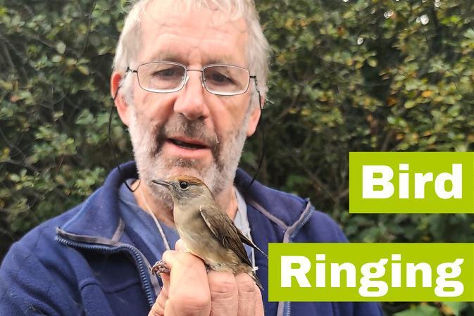 Mann mit einem kleinen Wildvogel auf der Hand