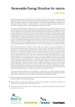 Joint Briefing Paper - Renewable Energy Directive for nature (März 2022)