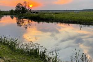 Sonnenuntergang vor Teich und Pfedekoppel