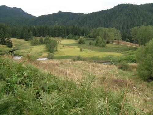 A stream flows through a valley surrounded by wooded hills.