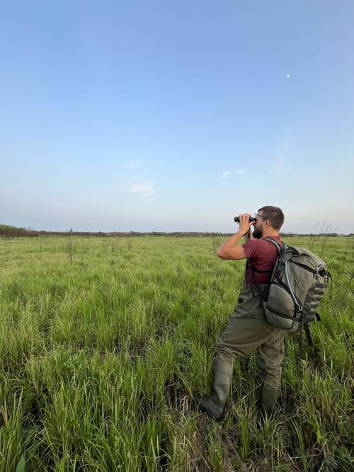 junger Mann mit Fernglas in der Ukraine auf der Suche nach Seggenrohrsängern