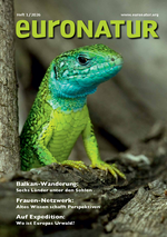 EuroNatur Magazinn 2026/1: Balkan-Wanderung: Sechs L&auml;nder unter den Sohlen. Auf Expedition: Wo ist Europas Urwald? Frauen-Netzwerk: Altes Wissen schafft Perspektiven