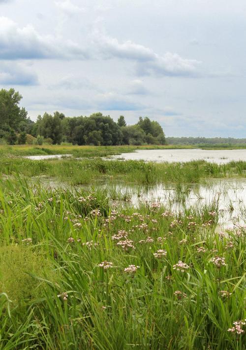 Jeziorsko Stausee