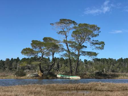Boote in albanischem Feuchtgebiet