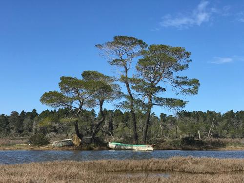 Boote in albanischem Feuchtgebiet