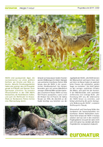 Gemeinsam für Europas Wölfe (Projektbericht Wolf 2019-2020)