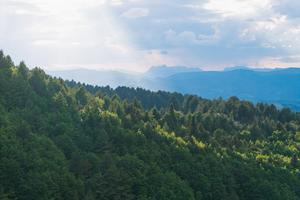 A dark mountain forest is illuminated by a ray of sunlight.