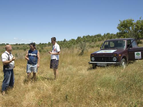 Drei Männer und ein Auto in einer Wiese