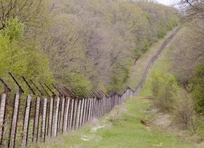 A border fence on the Green Belt runs through an aisle in a spring forest.