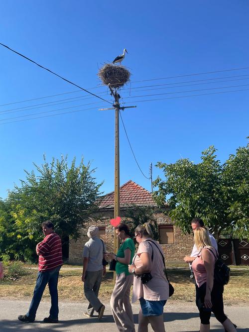 People and Whitestork