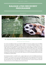 Newsletter Balkanluchs-Projekt (engl.), Juni 2021 