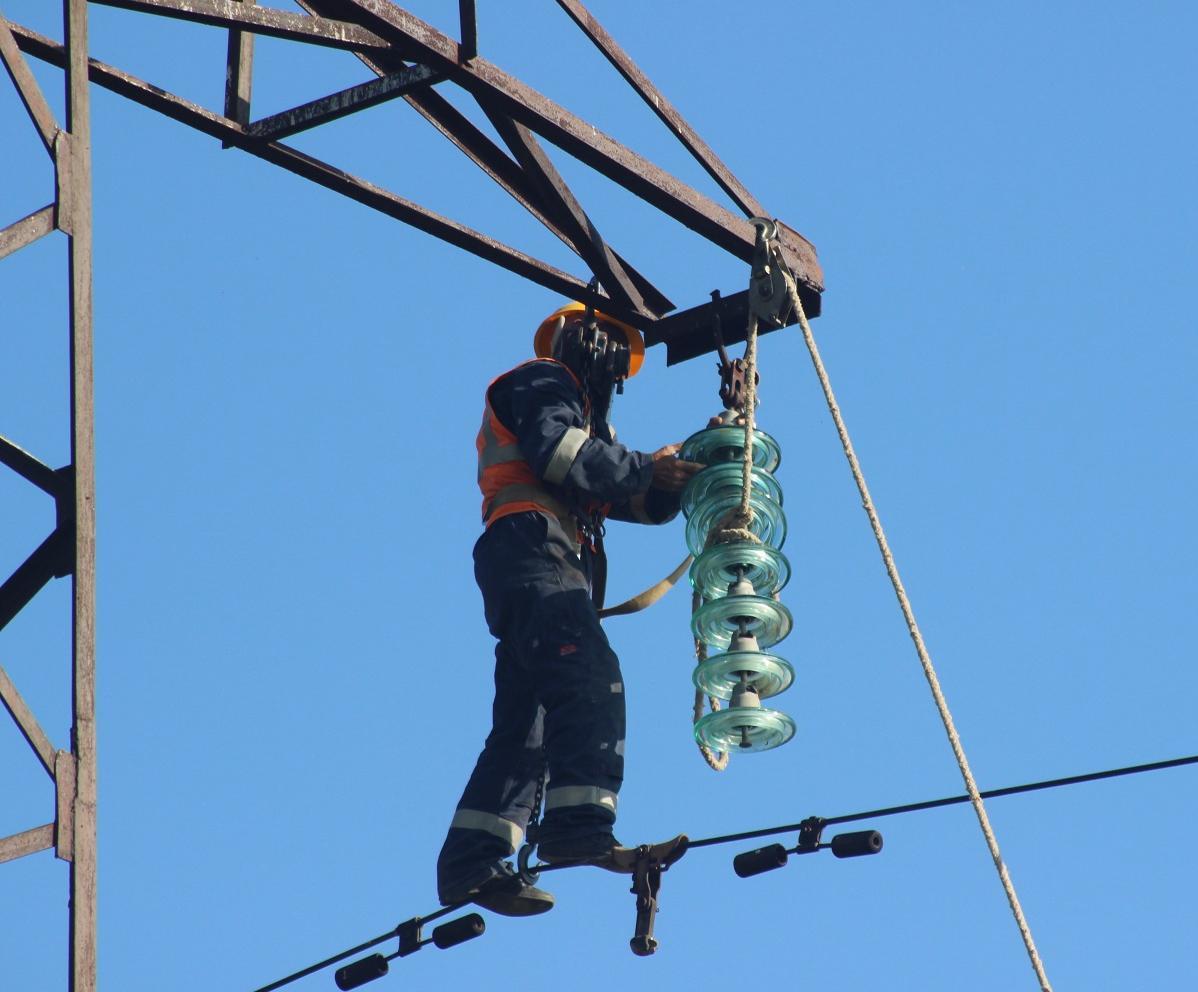 Power line is secured for birds
