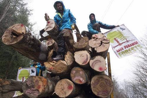 Fagaras Natura 2000-Gebiet, Rumänien - 10. März 2017: Agent Green und internationale Waldschützer (darunter Wissenschaftler und Bergsteiger) stoppen Holzfällerfahrzeuge im Natura 2000-Gebiet Fagaras Mountains und fordern die rumänische Regierung auf, Maßnahmen zur Rettung der letzten großen Primärwälder Europas in Rumänien zu ergreifen.