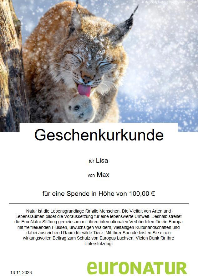Geschenkurkunde mit Luchs im Schnee