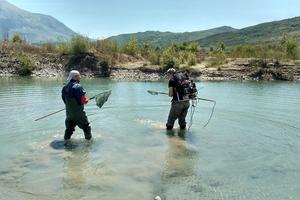 Wissenschaftler untersuchen Fischfauna