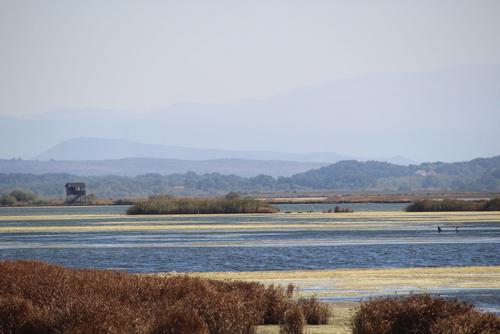 Salt pan at the Adriatic Sea