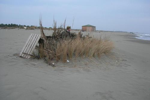 Wilderer am Strand von Montenegro