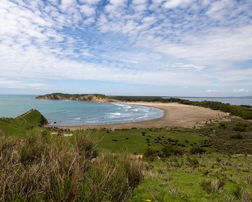 naturbelassener Strandabschnitt in Albanien