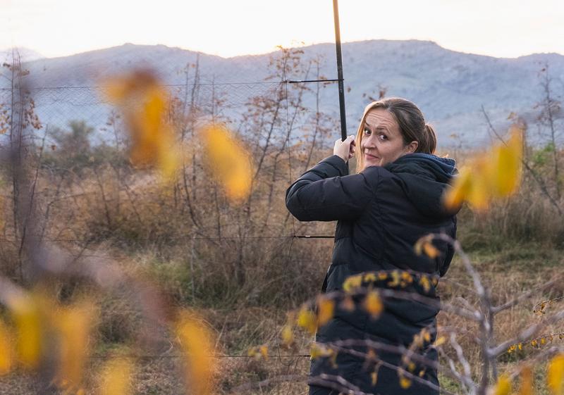 Marija Šoškić Popović during a bird ringing activity in Ćemovsko field.
