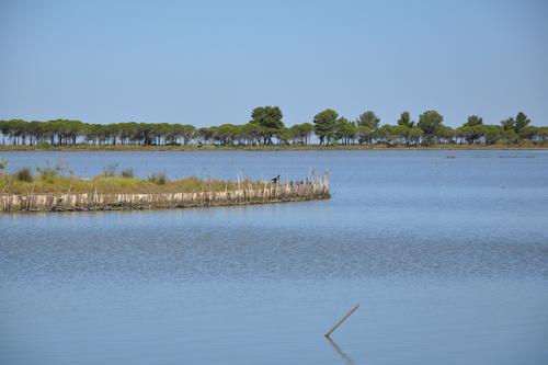 Wasserfläche in Karavasta-Lagune