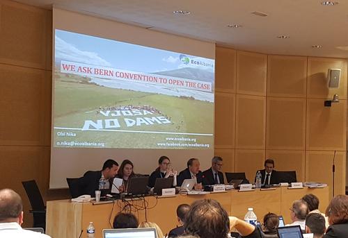 Olsi Nika von EcoAlbania zeigt eine Präsentation zum "Fall Vjosa" vor dem Ständigen Ausschuss der Berner Konvention.