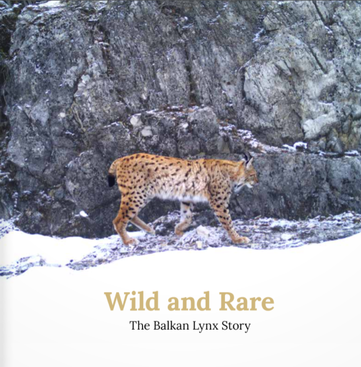 Cover Broschüre Wild and Rare