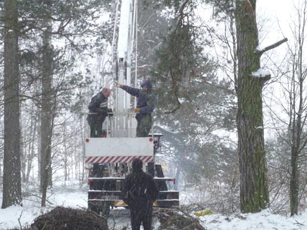 Drei Helfer mit einem Kran in einem verschneiten Wald