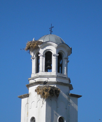 Kirchturm mit zwei Storchennestern