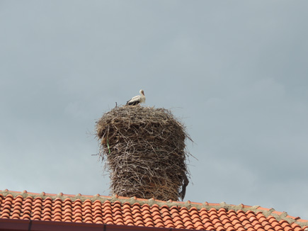 Storchennest auf Dach in Češinovo-Obleševo in Nordmazedonien