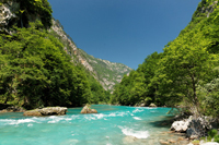 Der Fluss Tara in Montenegro mit seinen naturbelassenen Ufern.