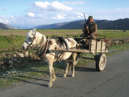 Man with rifle on a horse cart