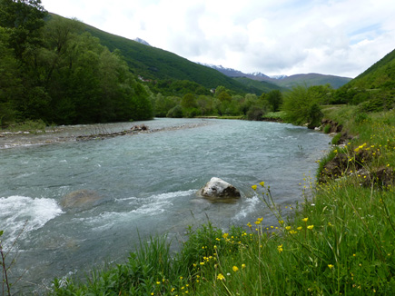 The river Radika with its natural river banks