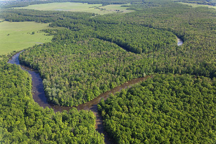Aerial of the river Sava and its floodplain forests