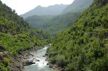 Gebirgsfluss fließt durch ein bewaldetes Tal