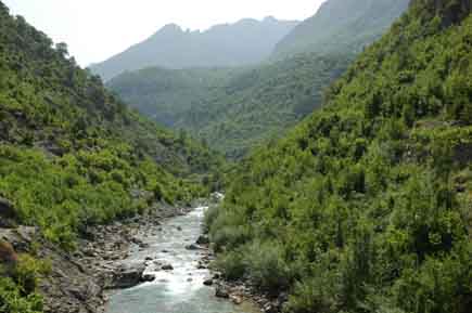 Creek in the Albanian Alps