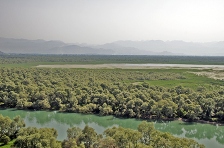 Muendungsdelta Fluss Moraca in Skutari See Web c Schwarz Ulrich FLUVIUS Flussdelta der Morača mit Auenwäldern