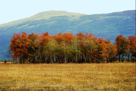 "Crane moor" in the north of Livanjsko Polje in autumn