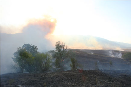 Smoke on a moor