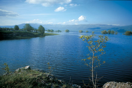 Livanjsko Polje