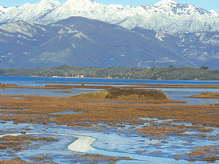 An oasis for migrating birds: the salt flats of Tivat in Montenegro.